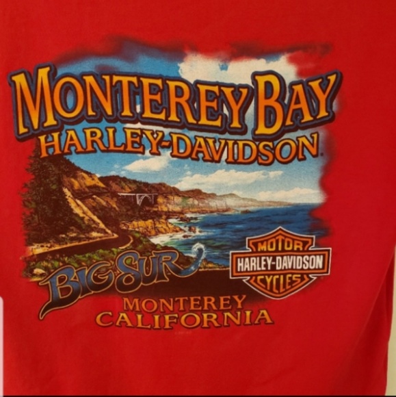 Harley Davidson Men's tee shirt size large - Picture 3 of 5